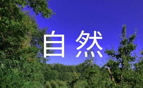感受自然的七年級作文800字